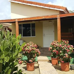 Bubali Aruba